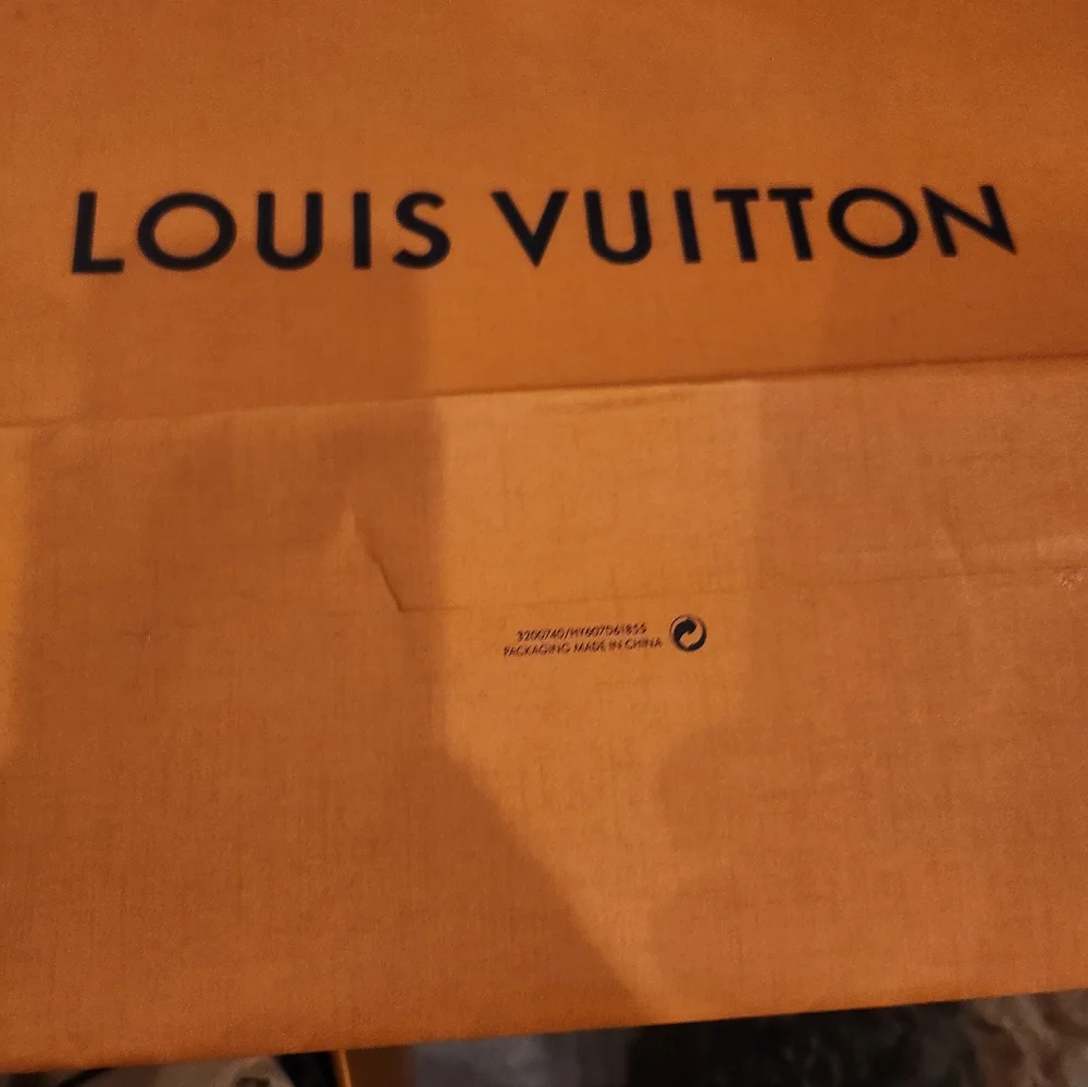 Louis Vuitton Orange Branded Bag